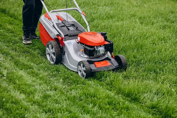 tonte démoussage toiture taille de haie Nantes